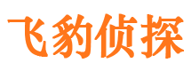 沙坪坝市私家侦探